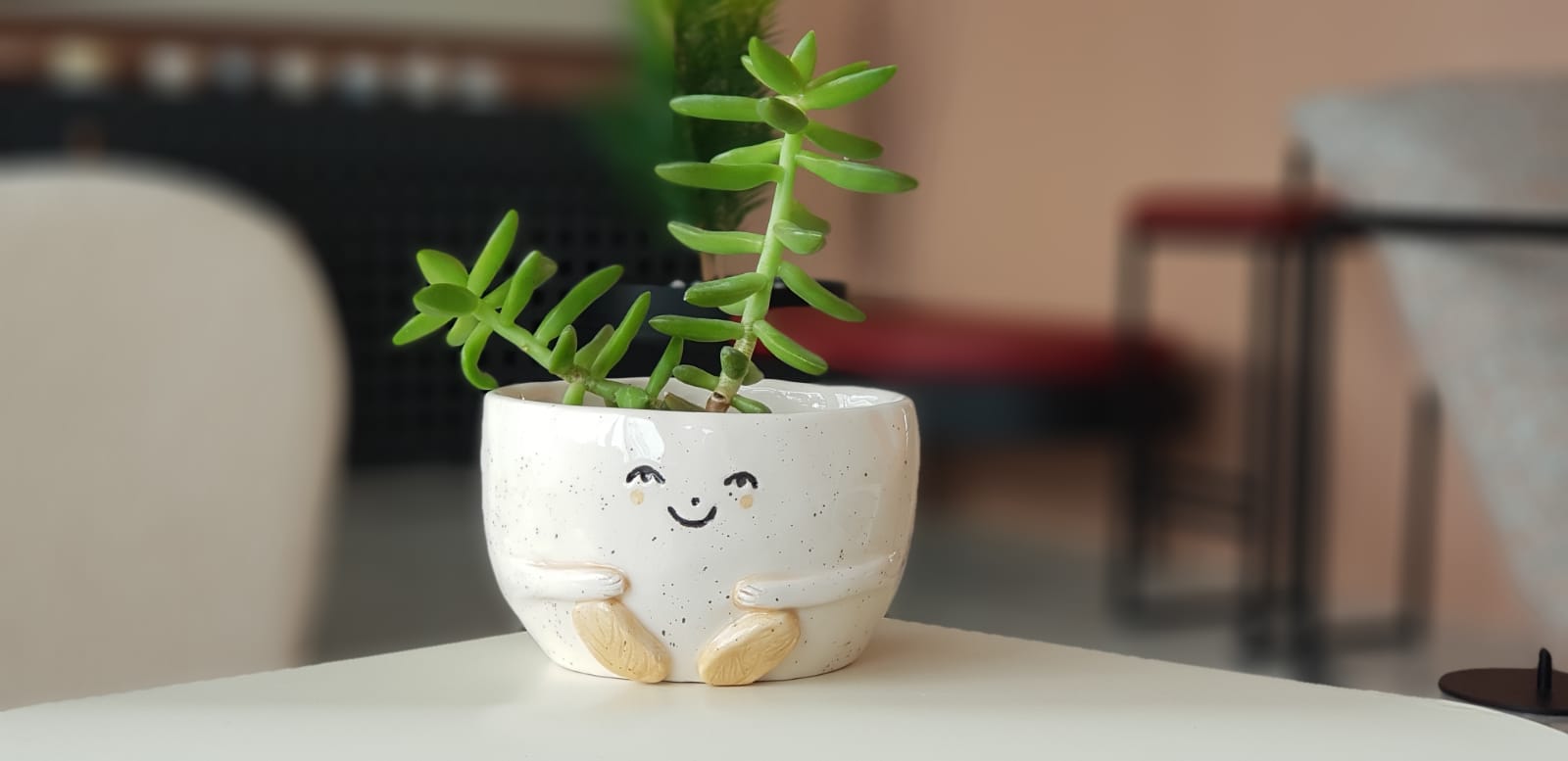 Happy ceramic planter with chubby cheeks and uplifted arms supporting a growing succulent.