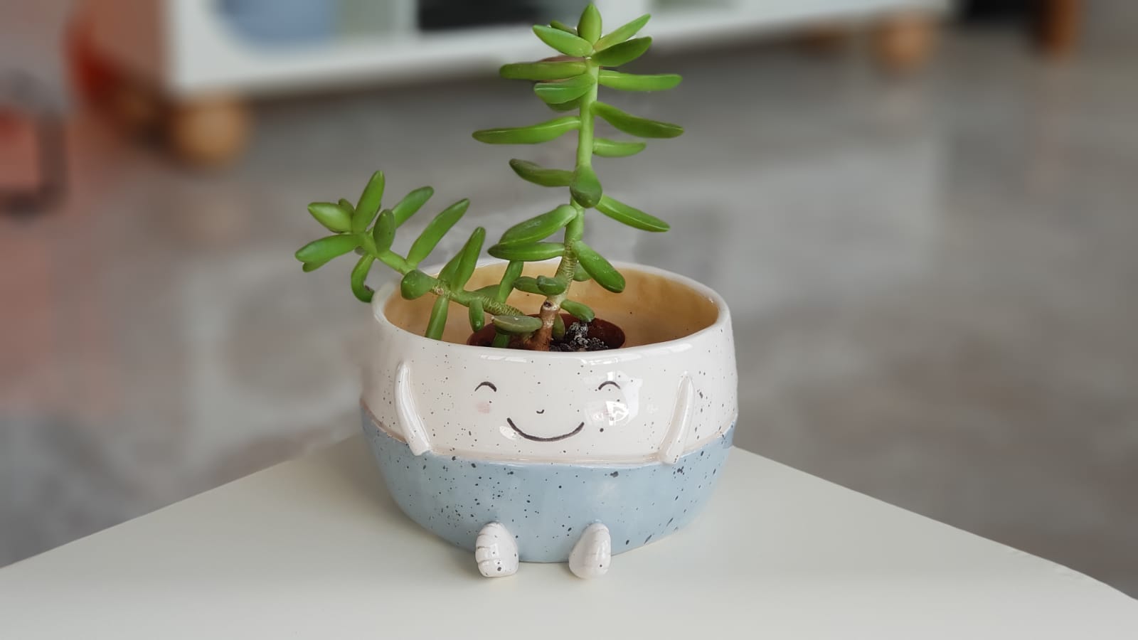 Two-tone ceramic planter with a contented smile, bringing a piece of the ocean to your home.